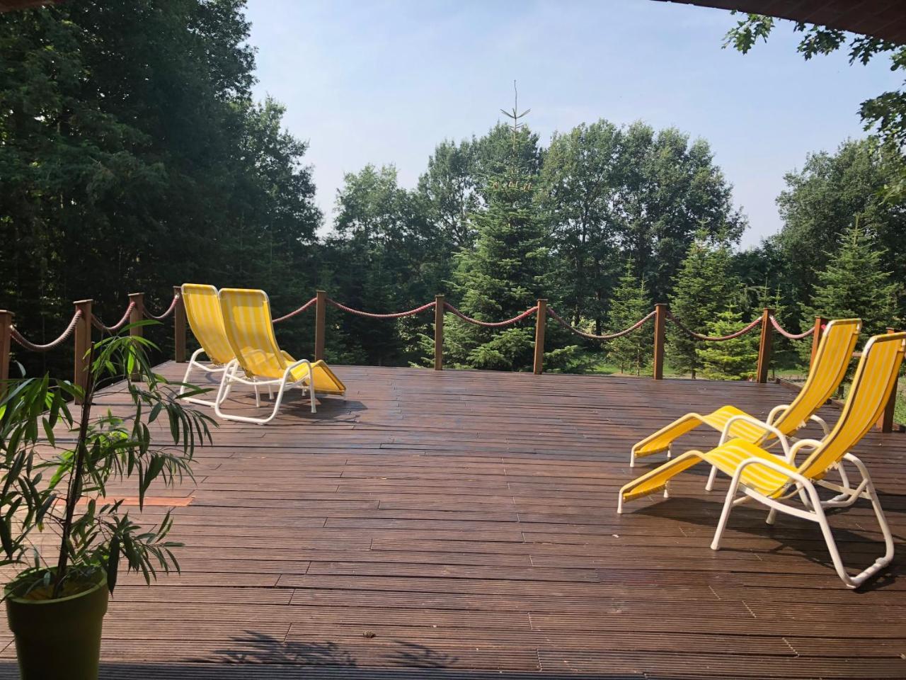 באד בנטהיים Hotel Niedersaechsischer Hof מראה חיצוני תמונה